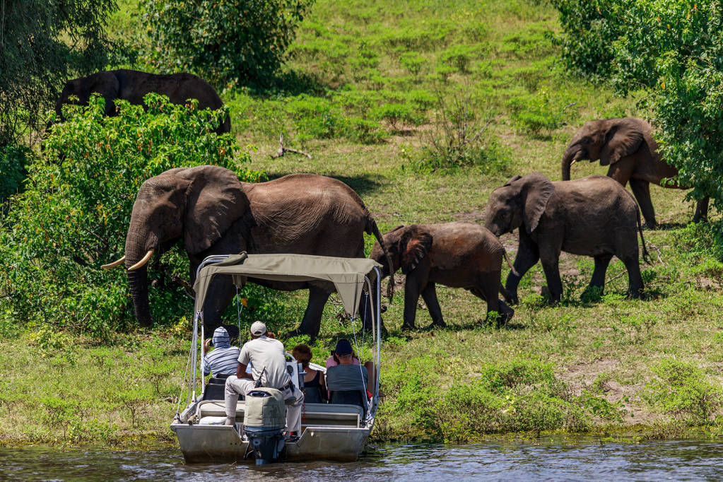 People watching Elephants from a boat Chobe National Park Botswana Africa