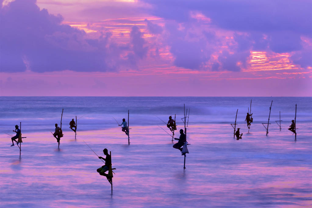 Sri Lankan Highlights