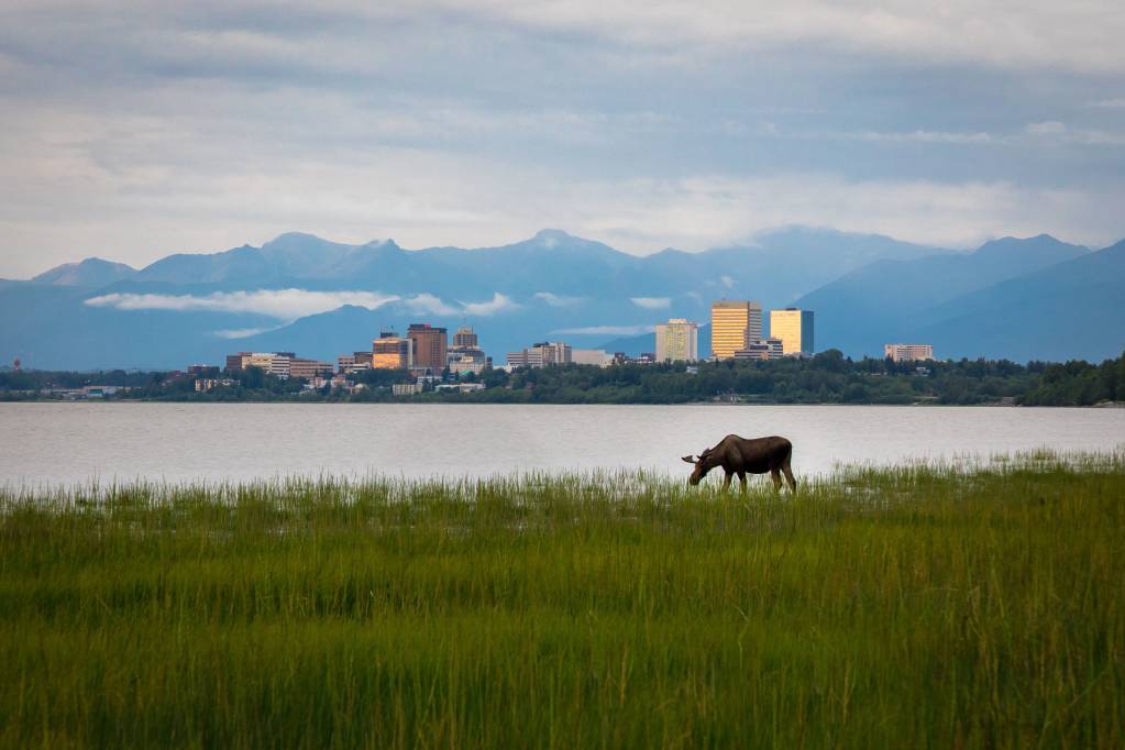 Best Things to Do In Alaska During the Summer