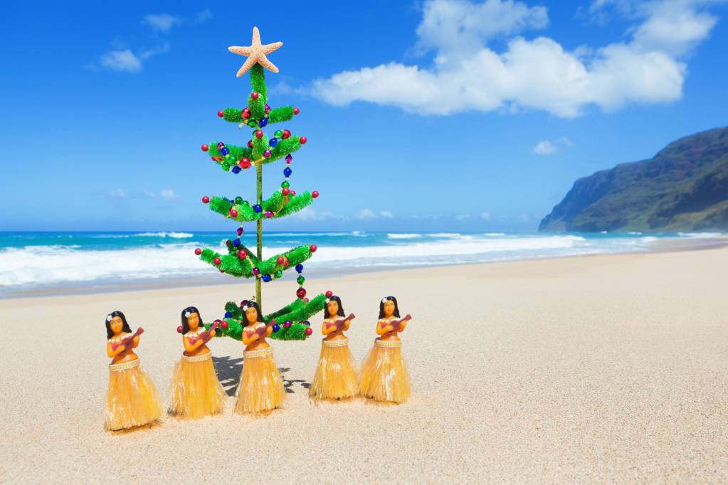 Hawaiian christmas