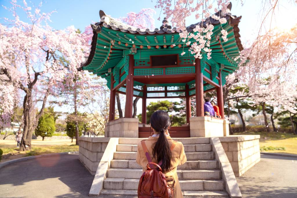 Pavillon im Park von Seoul eingerahmt von bluehenden Kirschbaeumen