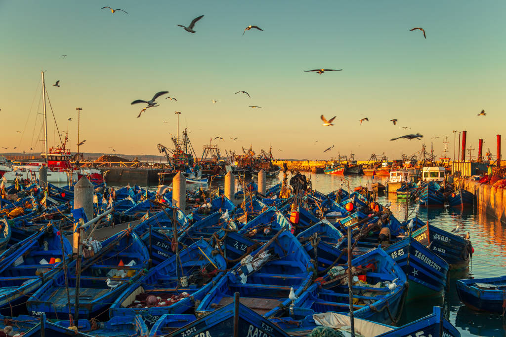 From Markets to Mountains: 5 Top Highlights of Morocco