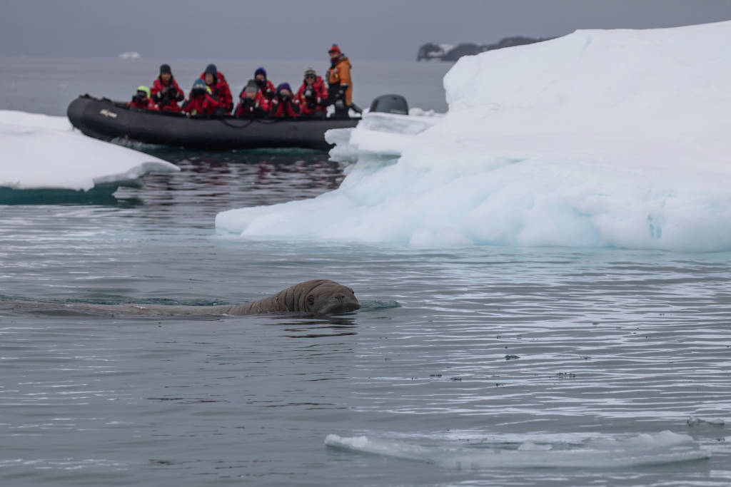 Spitsbergen charter 2018