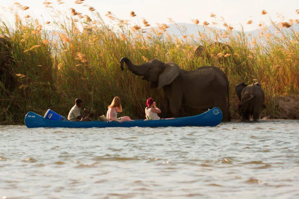 Canoe safari