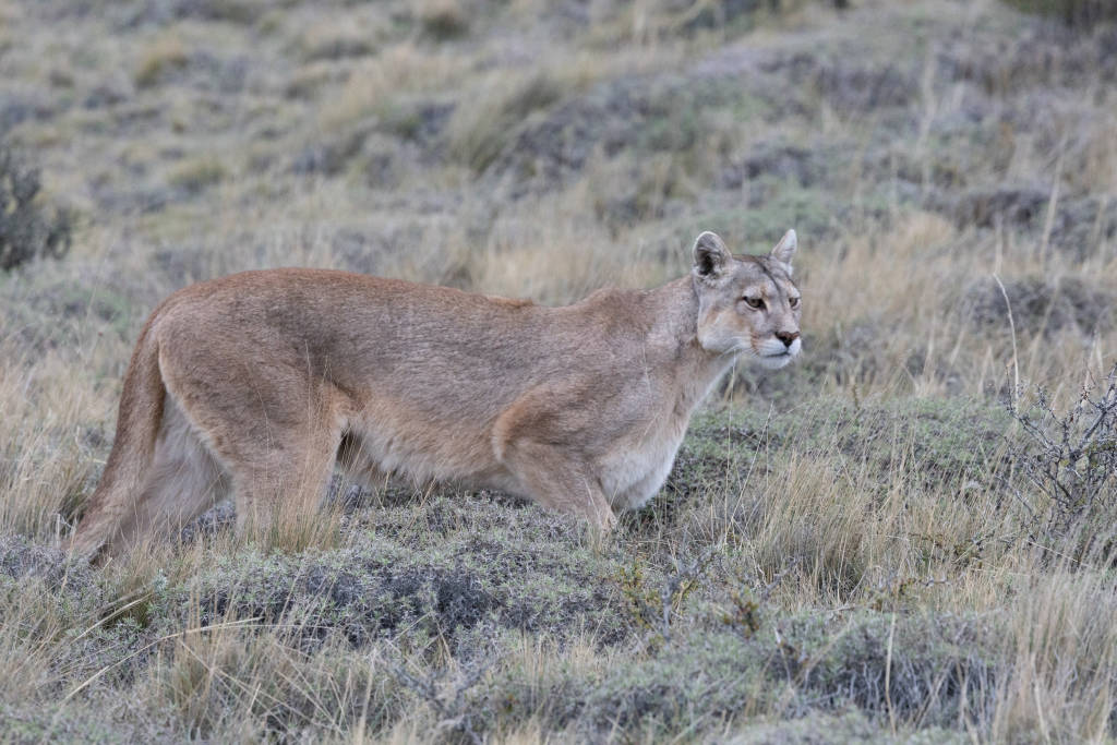 Discover Patagonia