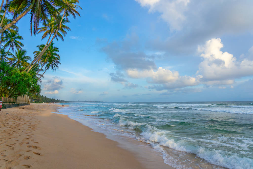 Beach Breaks