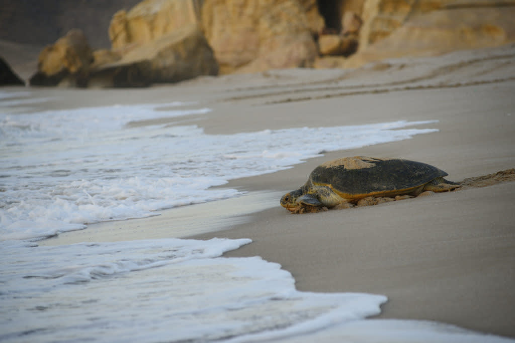 Wild Waters: 7 Ways to Experience the Coast Differently