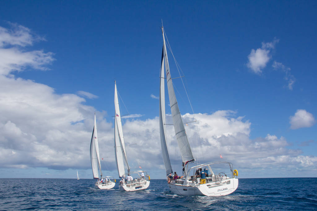 Leukemia Cup Regatta