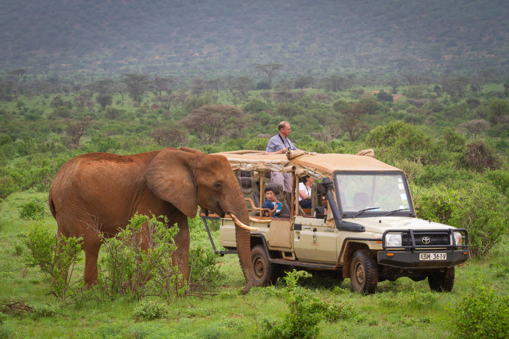 elefant safari i samburu kenya Kenya eller Tanzania: Vilken safari passar dig?