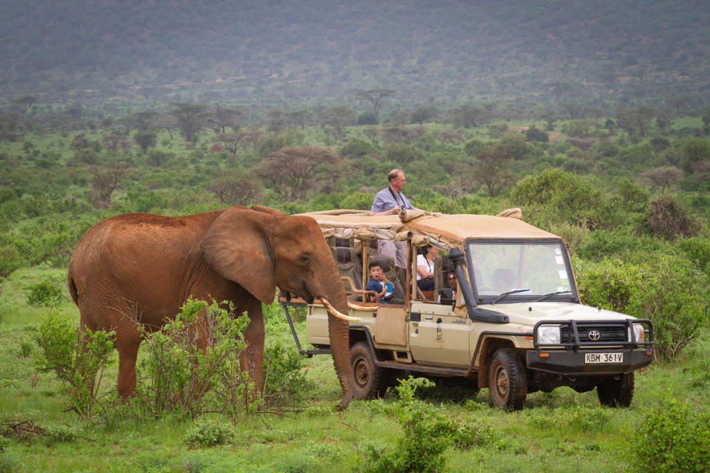 Kenya eller Tanzania: Hvilken safari skal du vælge?