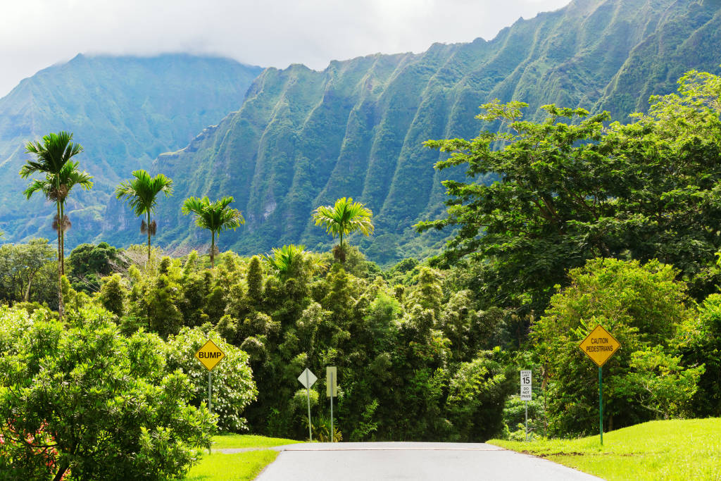 Vilken ö på Hawaii är rätt för dig?