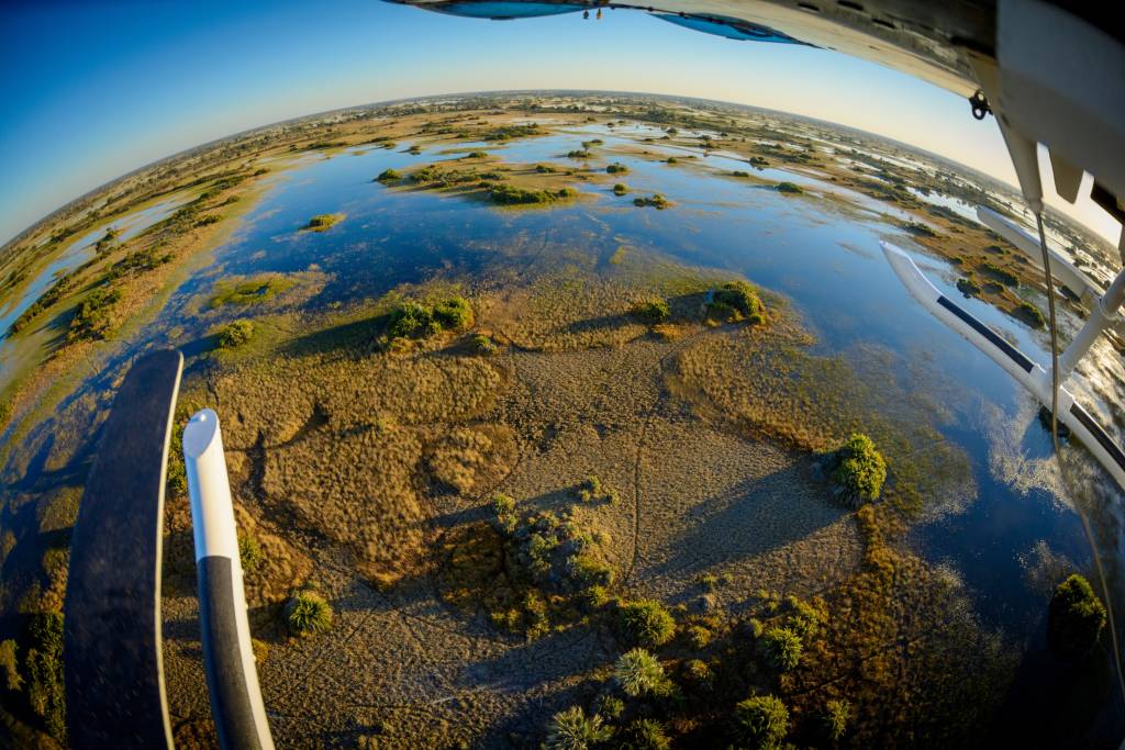 De bästa safariupplevelserna i Okavangodeltat