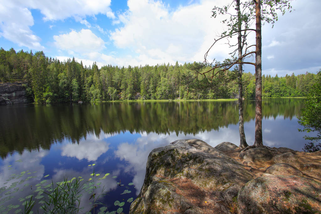 Helsinki Extension: Glacial Lakes, Ancient Forests, and City Lights