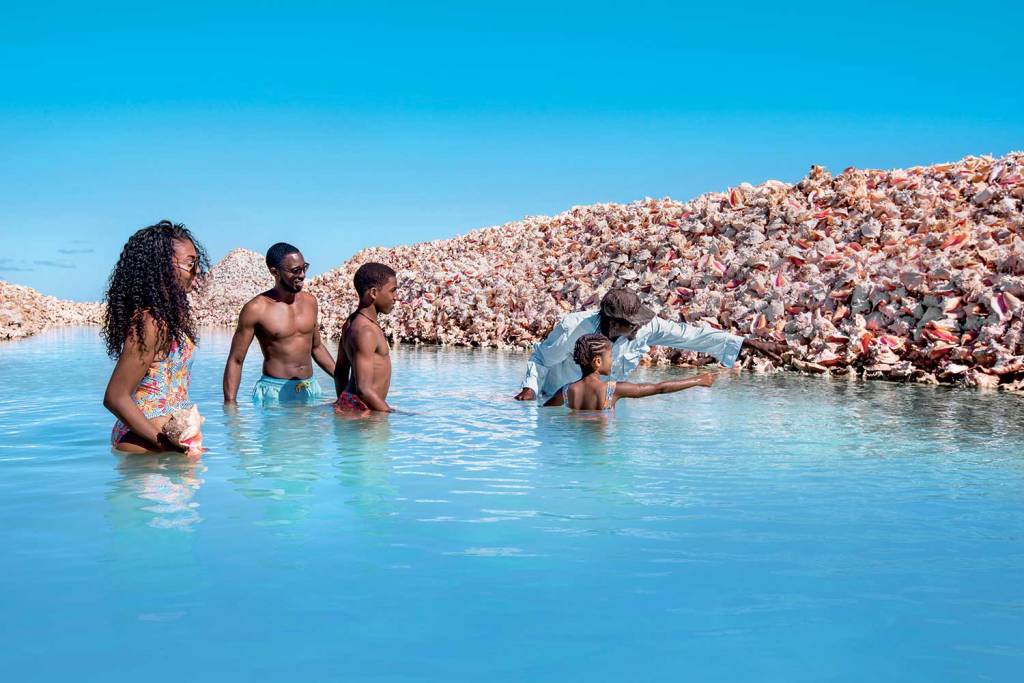 Conch Shell Mound Anegada Iles Vierges britanniques