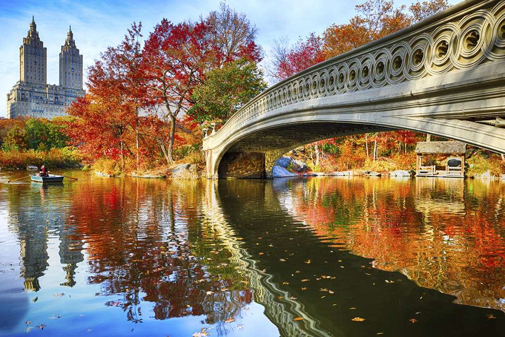 10 Tips for Photographing Fall Foliage
