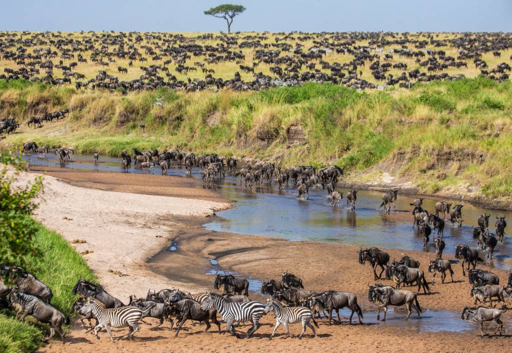 Safari in Afrika: Unsere Geheimtipps