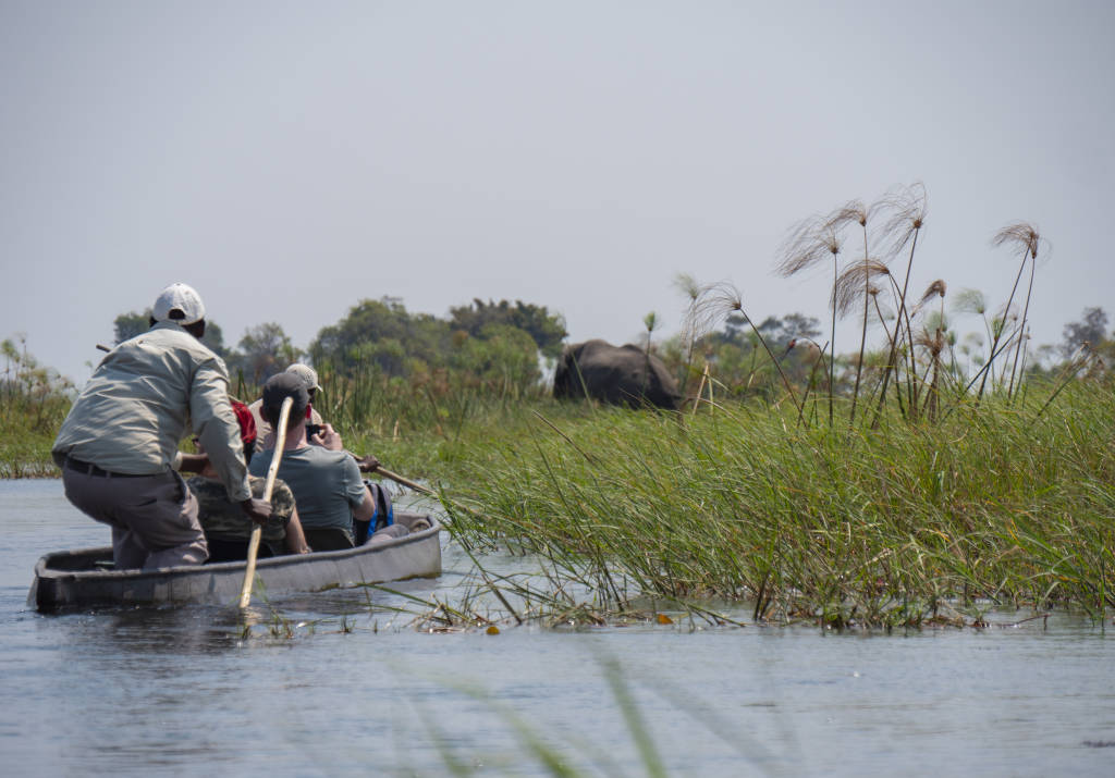 Okavangodelta_342491874.jpeg