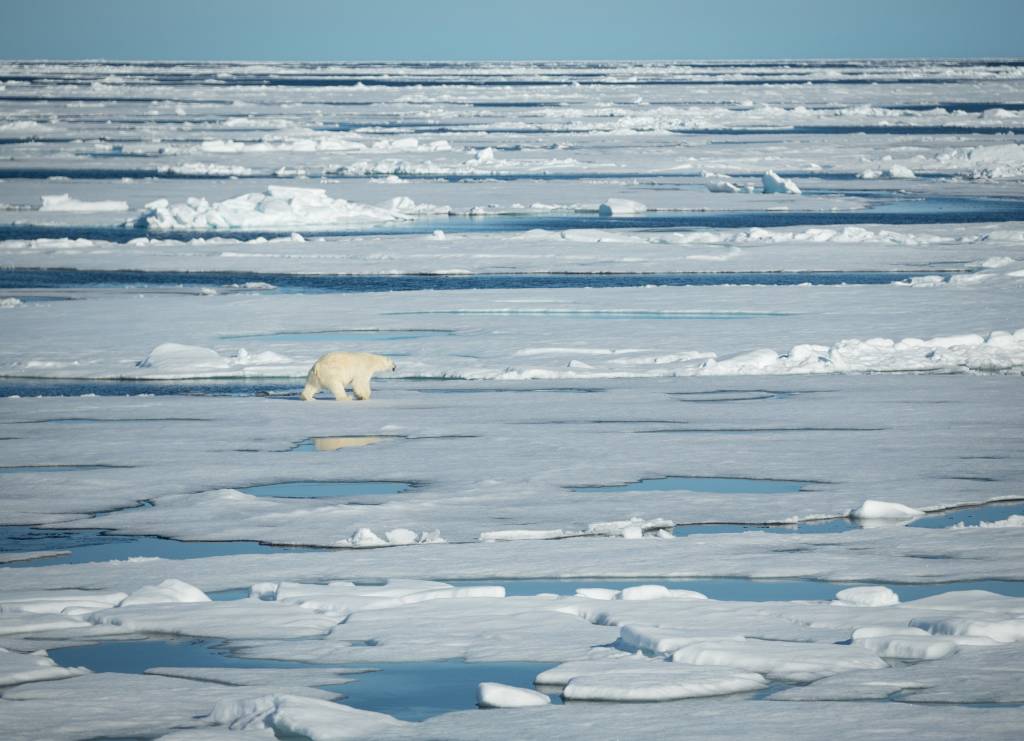 Watching for polar bears in the snow-covered Svalbard landscape.