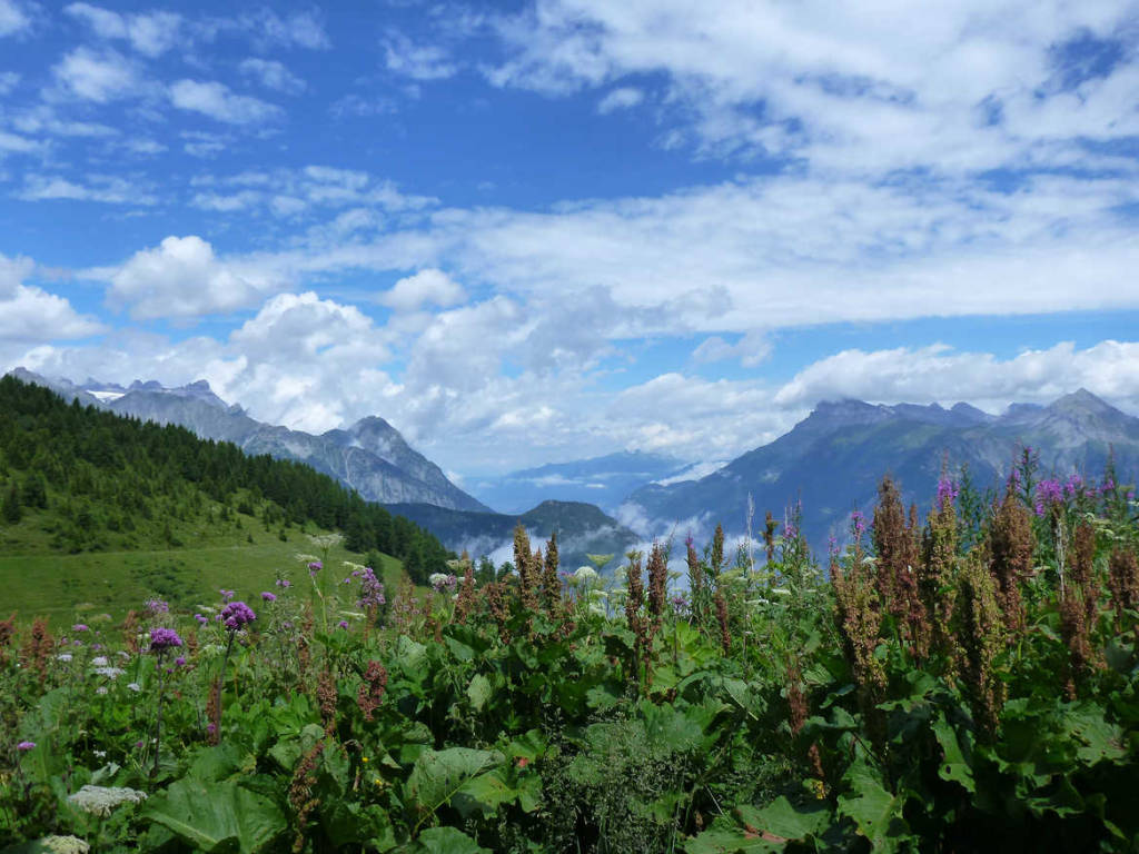 Swiss Alps