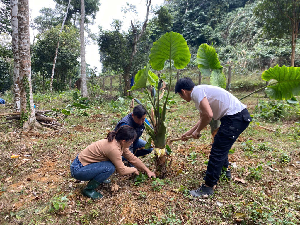 Community Kickstart Projects in Asia