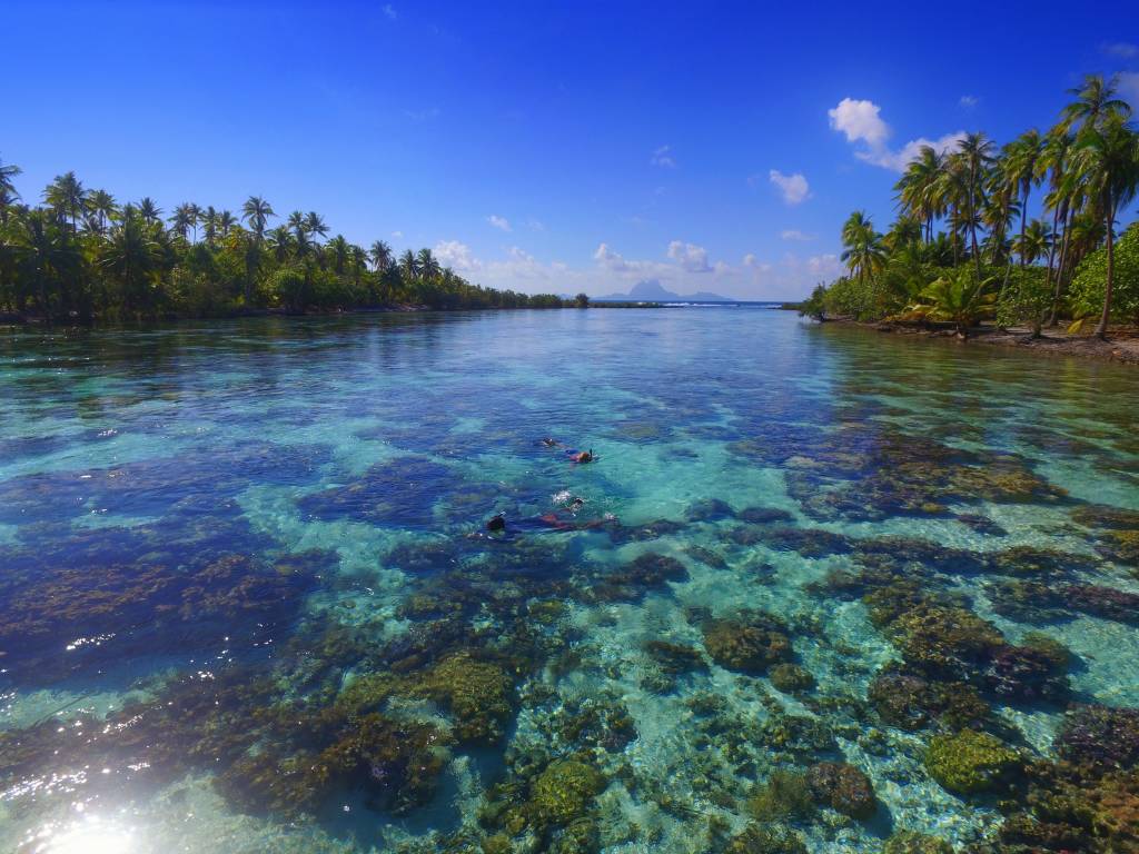 Chartering in Tahiti