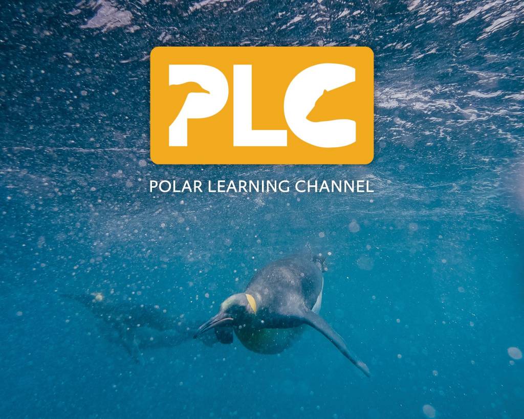 Quark Expeditions launches the Polar Learning Channel™
