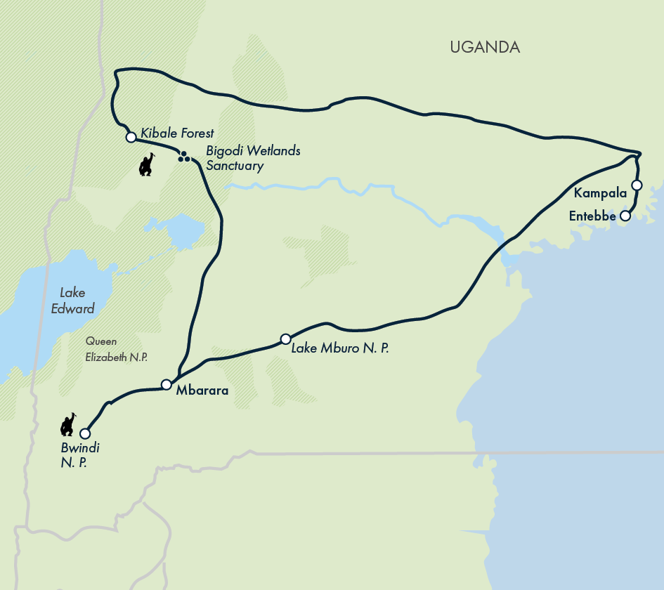 Chimps & Gorillas of Uganda
