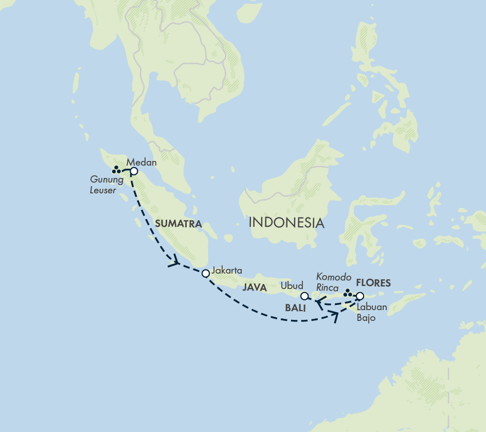 Primates & Dragons of Indonesia (2026)