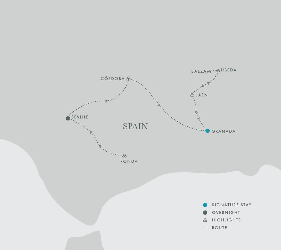 Signature Spain | Light Through Olive Groves