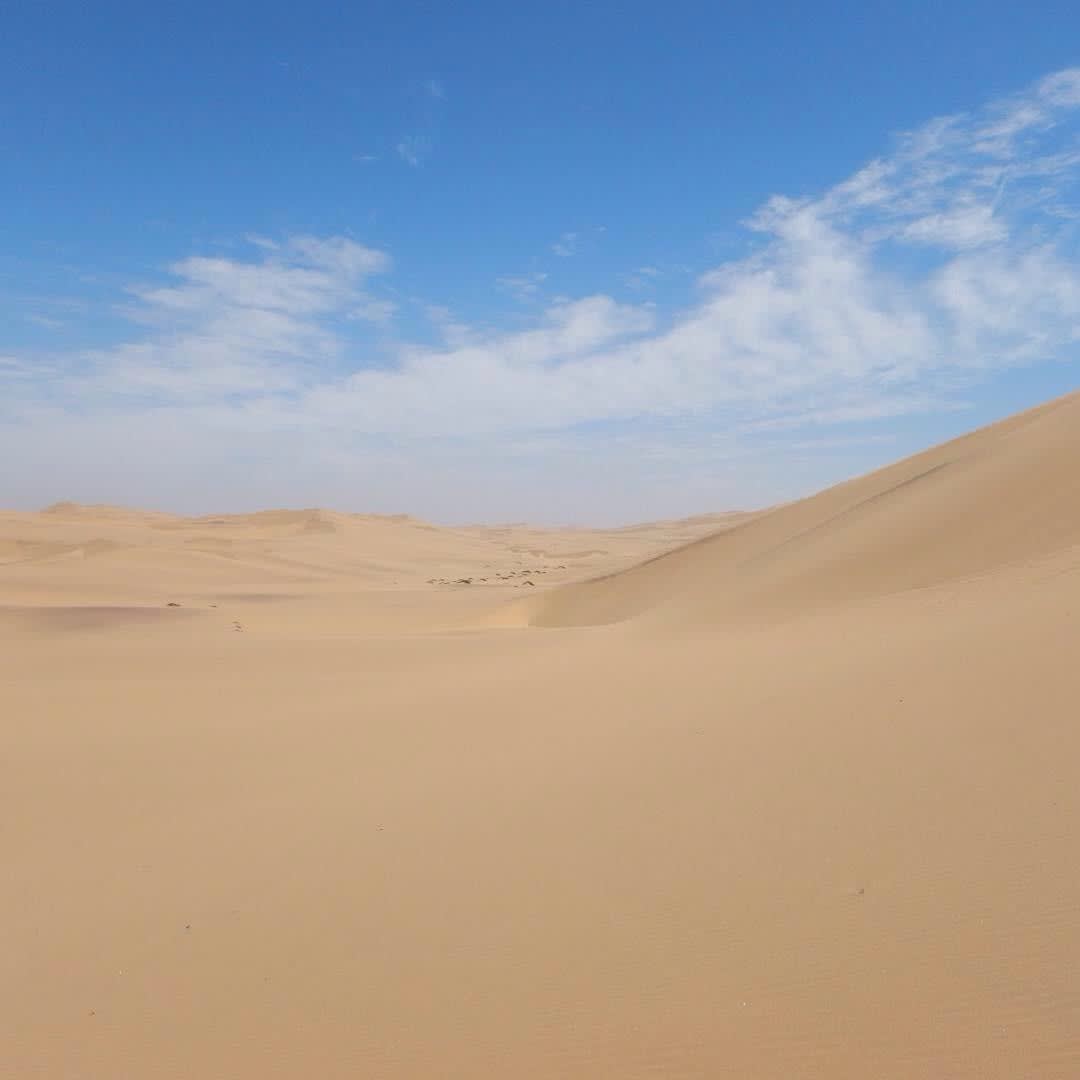 Sandboarding in Namibia