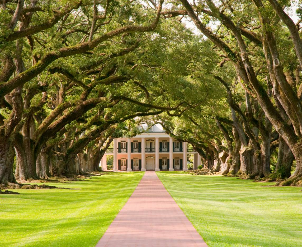 New Orleans & Western Caribbean Cruise