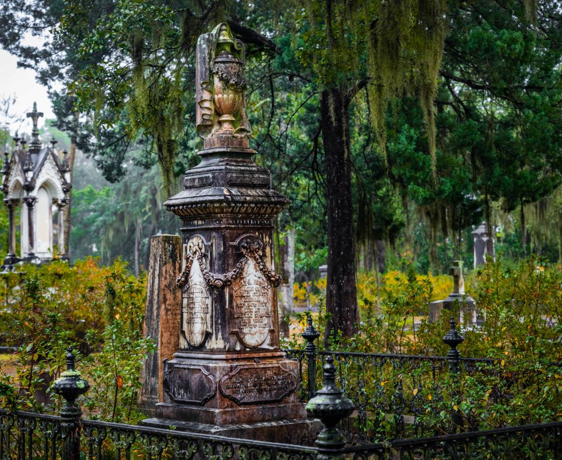 Historic Southern Coast