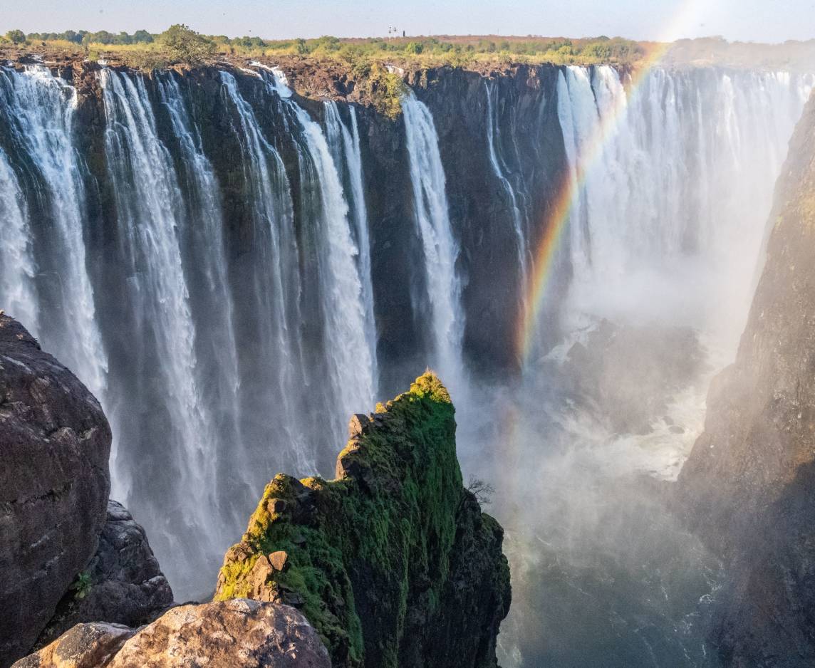 Into The Wild: South African Safari Adventure