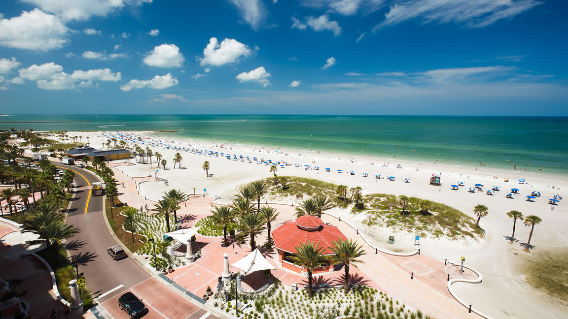 Top Bird-Watching Destinations in Latin America