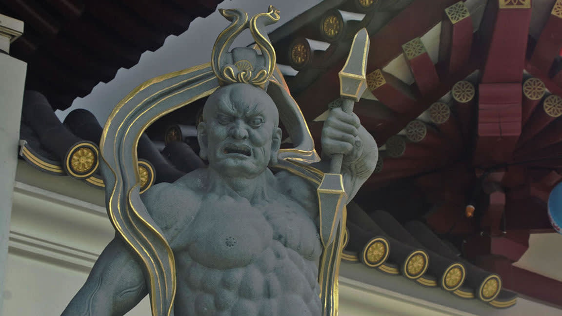 Top Bird-Watching Destinations in Latin America