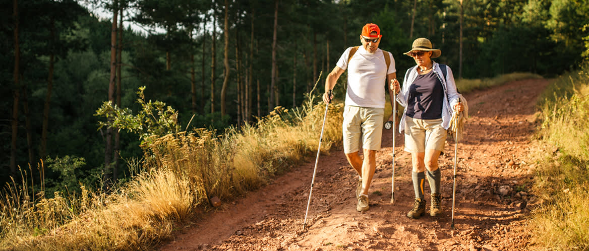 Hikers with poles on the trail