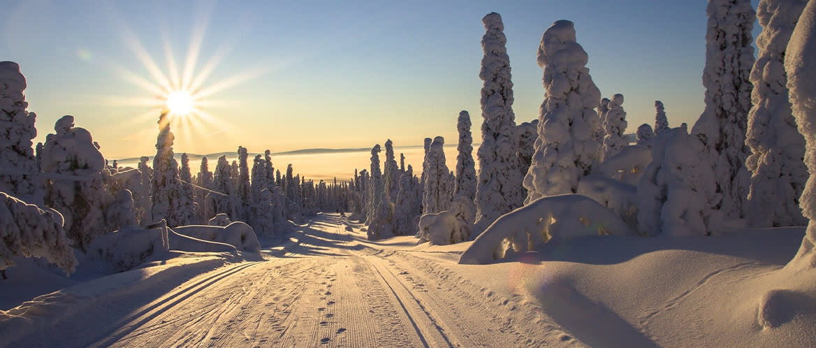 Finland snowy landscape with the sun rising