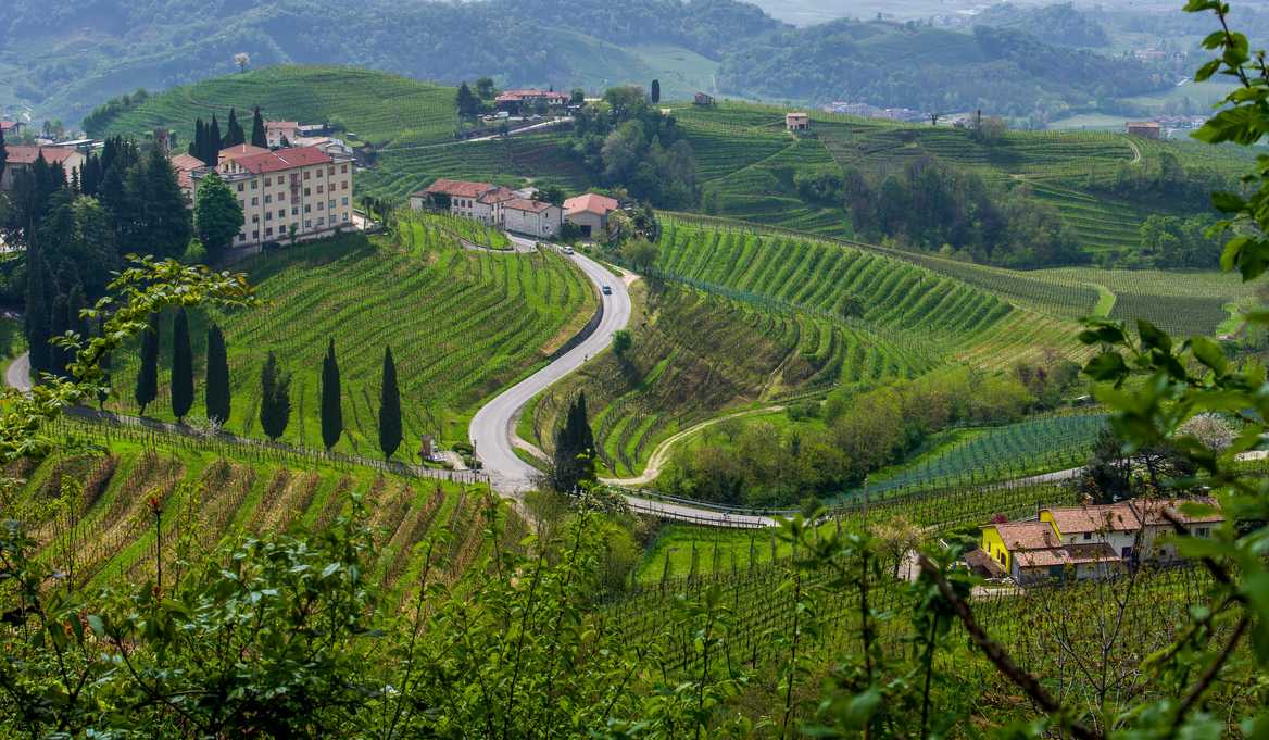 Prosecco Hills