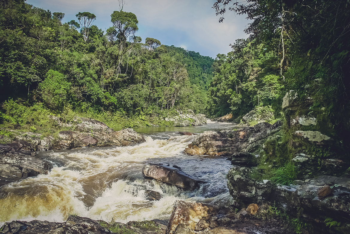 Ranomafana National Park, Madagascar