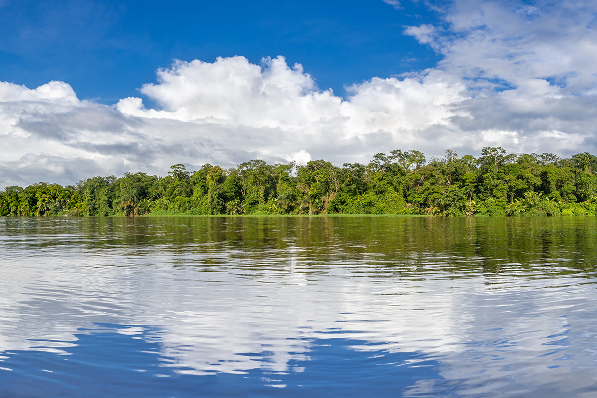 Tortuguero waterways, Costa Rica