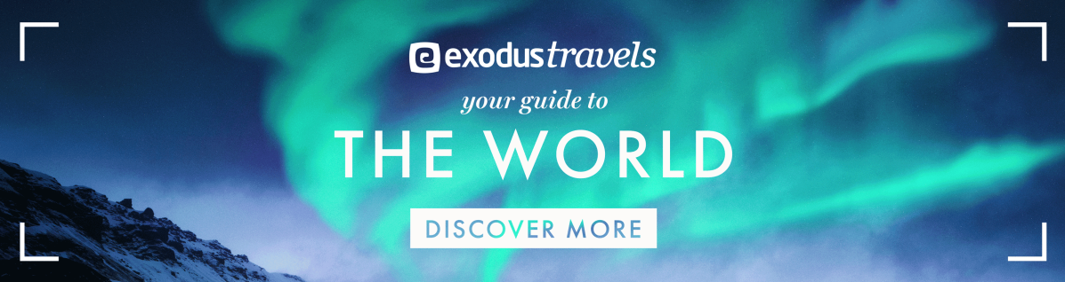 Your guide to the world
