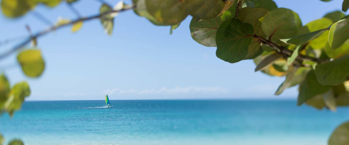 Anse Cochon