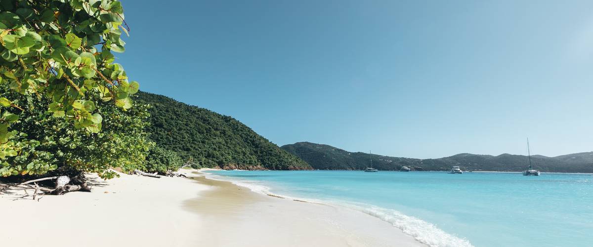 BVI