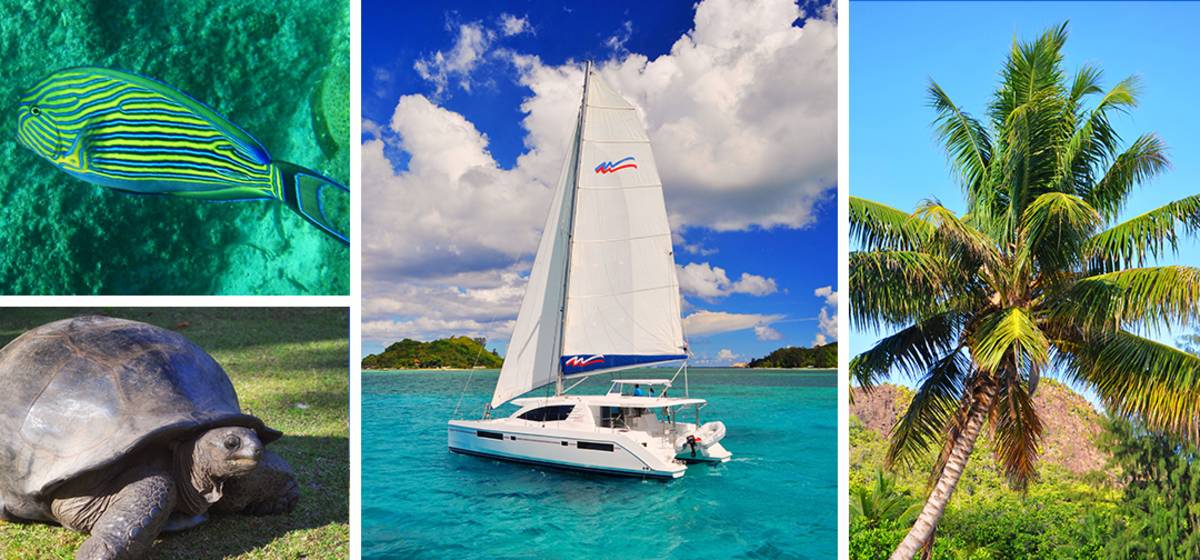 A Local’s Guide to Sailing in the BVI