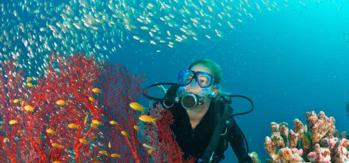 Best Diving in Antigua