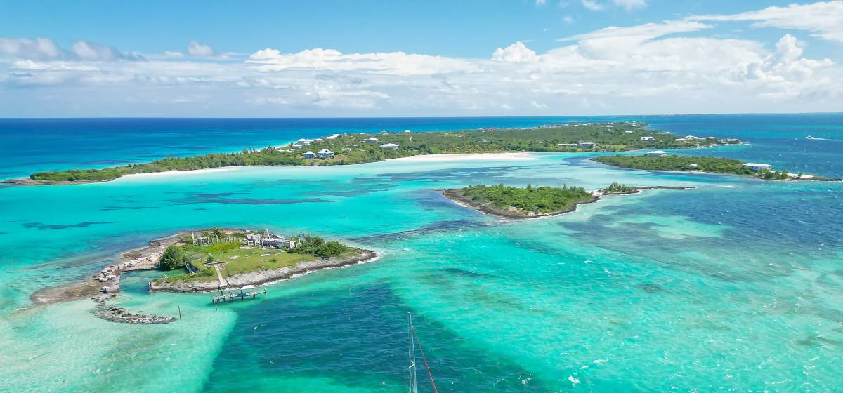 What To Know About the Swimming Pigs in the Bahamas