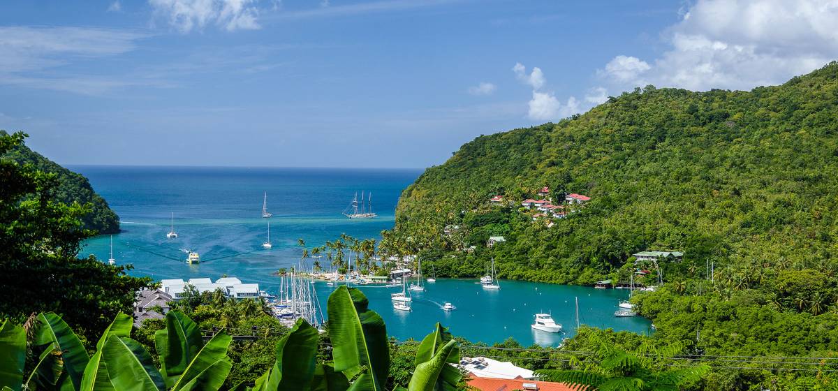 Bob Ell Marigot Bay St. Lucia