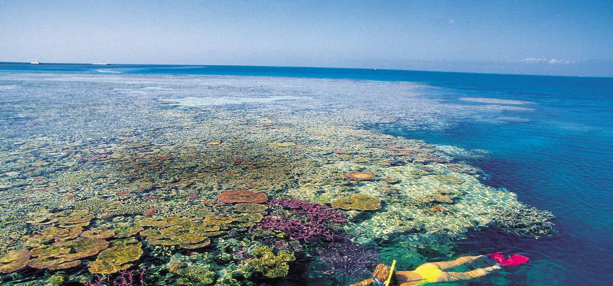 Snorkelling Whitsundays