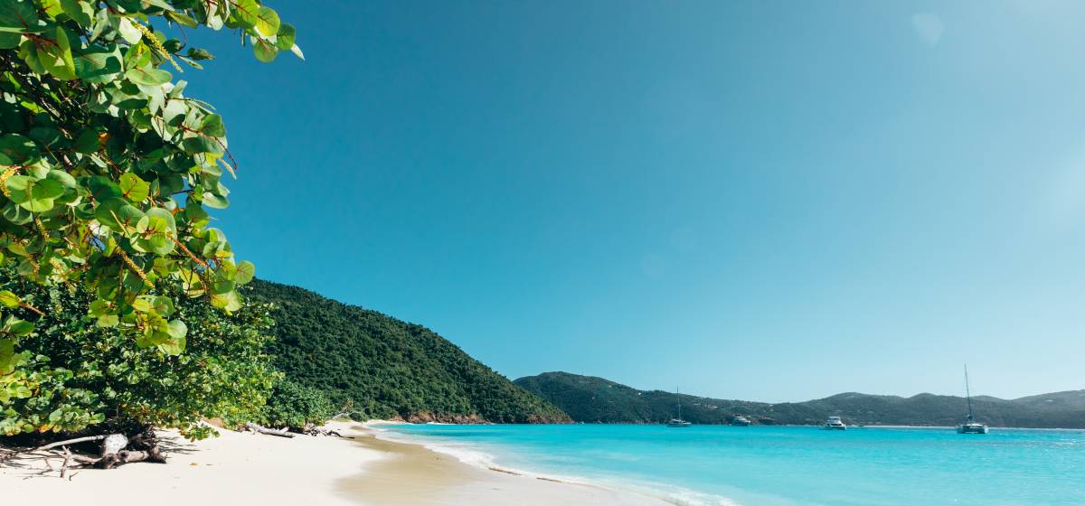 Beach in the BVI