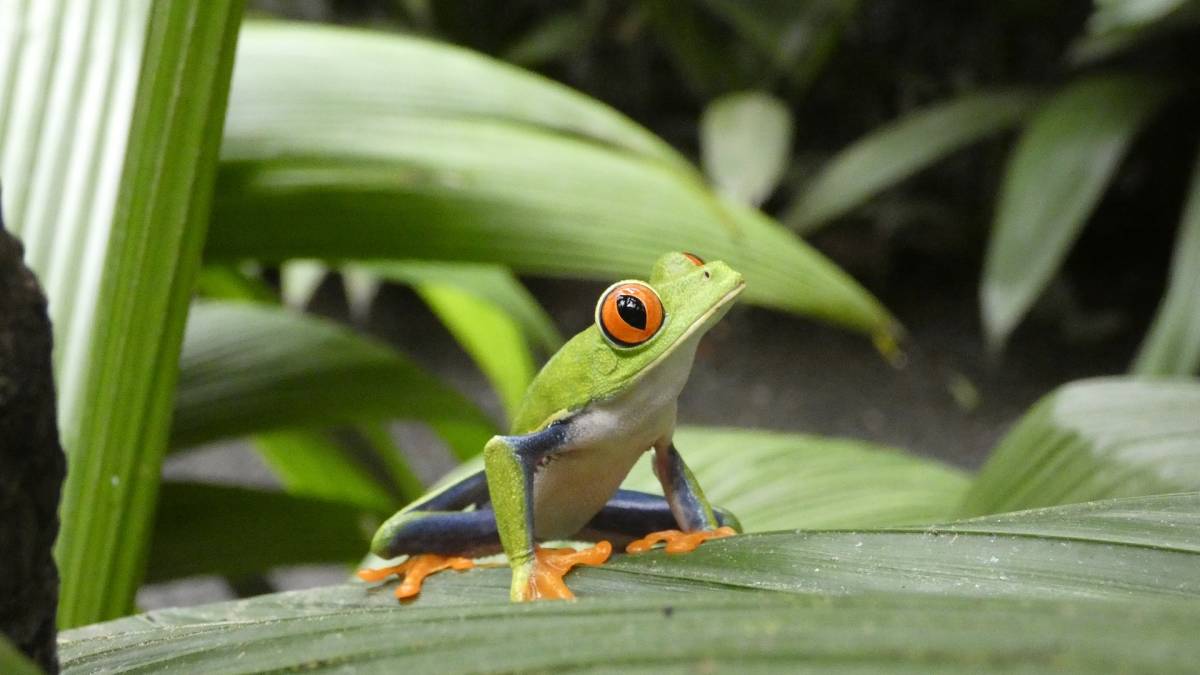 Costa Rica Sicherheit